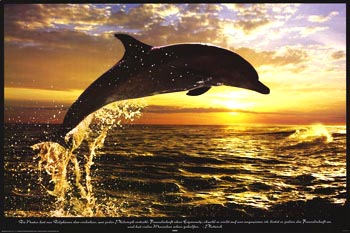 magnifique!!!!